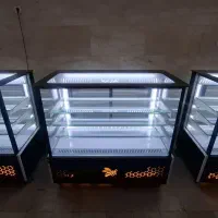 یخجال متنوع ایستاده  / تهران سرما امامی