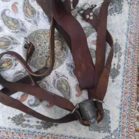 هیکلی علامت چرم شتری