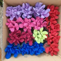 کاکتوس کراسولا یشم مخملی