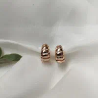 گوشواره ی رنگ ثابت