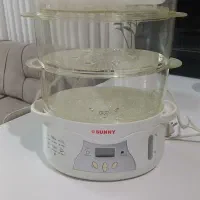 بخار پز