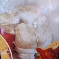 فروش خاک کمپوست قارچ