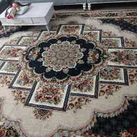 دو عدد فرش ۱۲ متری