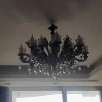 لوستر نو نو نو