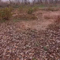 زمین دوبر ۴۰۰ متر باغی
