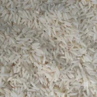 برنج فجر سوزنی