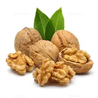 خرید فروش گردو