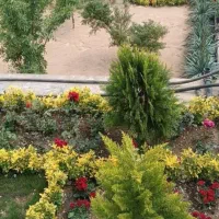 خدمات باغبانی باغچه کاری تعویض خاک گلدون کاشت گل