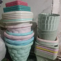 گلدون و گیاه