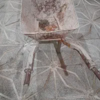 فرغون
