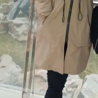 پالتو نو