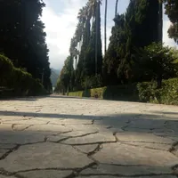 تهاتر ۷۶۴ متر زمین رامسر با آپارتمان