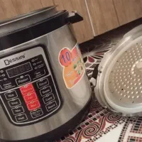 پلو پز دیسینی ده کاره 6لیتر