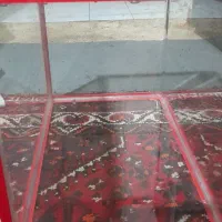 اکواریم