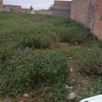 زمین مسکونی