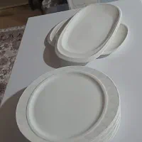 ظروف پذیرایی