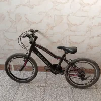 دوچرخه20