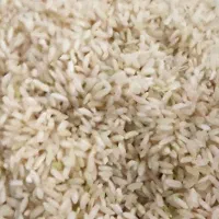 برنج چمپه چیتاب