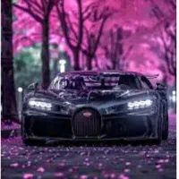 اجاره ماشین وسیله نقلیه