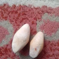 دو عدد مهره مفت