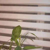 دوعددپرده زبرانوشب وروز