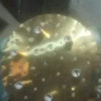 لوستر|لوستر و چراغ آویز|همدان, |دیوار
