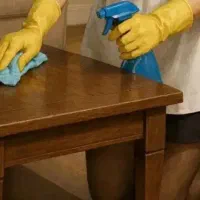 استخدام خدمتکار ، نظافتچی