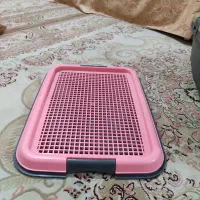 باکس، شیدگردن،ظرف غذا، لباس، اسباب بازی