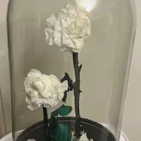 شیشه