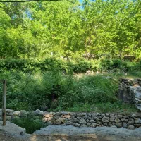 فروش-زمین-علیزاده