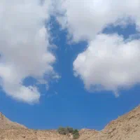کد۴ رند بیلبوردی