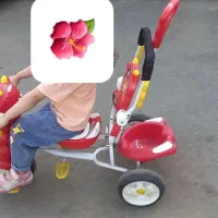 سه چرخه کودک