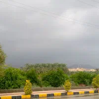 جویای کاربرجانه