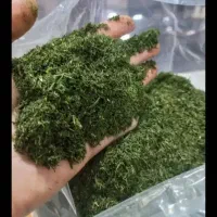سبزیجات|عمده‌فروشی|فردیس, فردیس|دیوار
