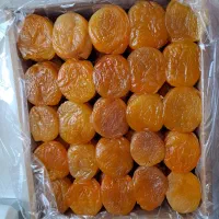 قیسی درجه یک صادراتی
