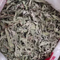 پونه