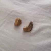 سنگ راف