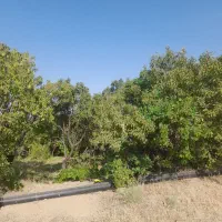 فروش باغ