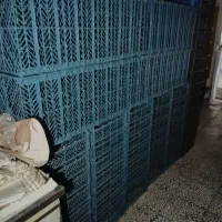 سبد میوه