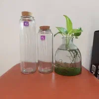 بانکه شیشه ای در چوب پنبه
