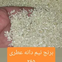 برنج‌سرلاشه‌هاشمی‌عطری ۳۱۰ هزار تومان