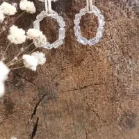 گوشواره کلاسیک استیل