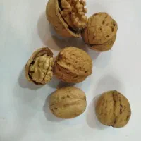 گردو ایرانی