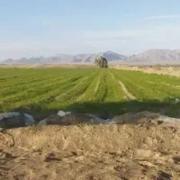 کشاورز واسه چاه موتور