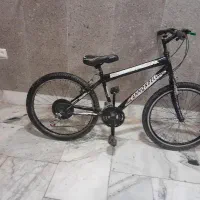 دوچرخه دنده‌ای24