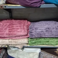 پتو تدی
