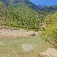 سفر تفریحی