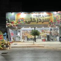 استخدام نیروی کار
