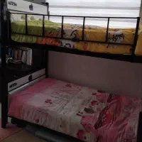 تخت دو طبقه|تخت و سرویس خواب|مشهد, مشکینی (شهرک غرب)|دیوار