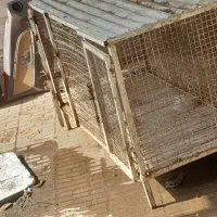 تعدادی قفس